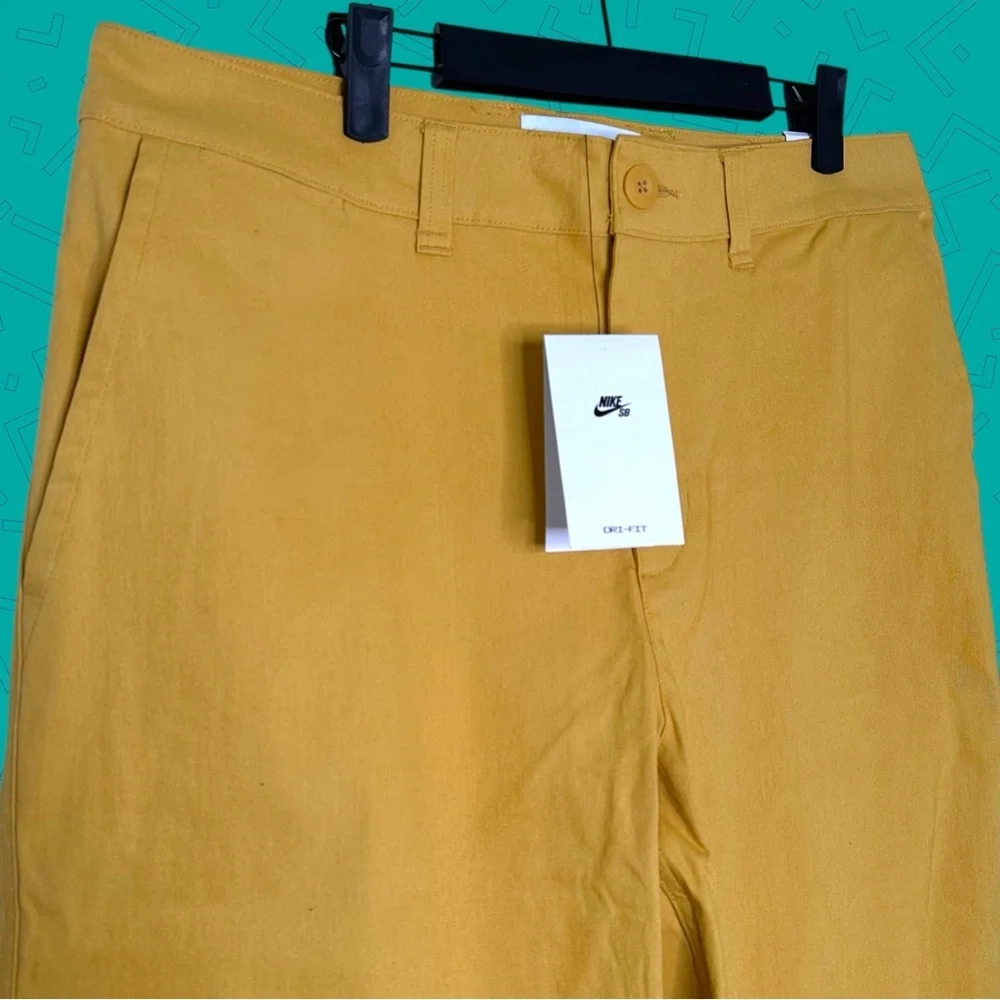 Nike SB Chino Pants